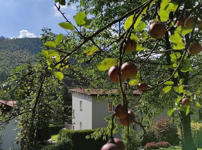 Kotarz Sauna&relaks 아파트 브렌나