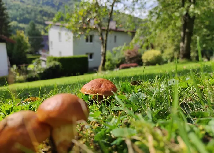 شقة Kotarz Sauna&relaks